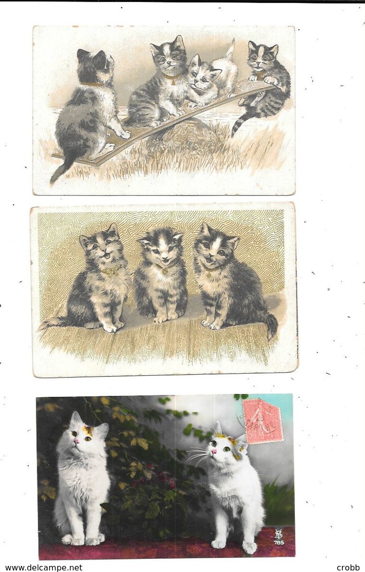 11125 - Lot De 3 CPA De CHATS, - Chats