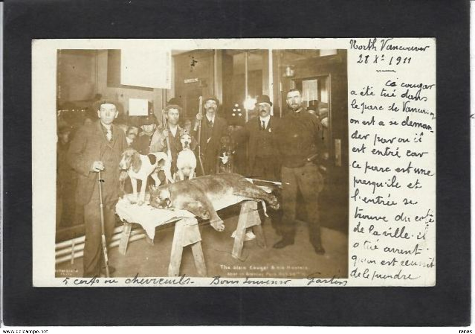 CPA Chasse Chasseurs Canada Vancouver Cougar Carte Photo RPPC écrite - Ohne Zuordnung