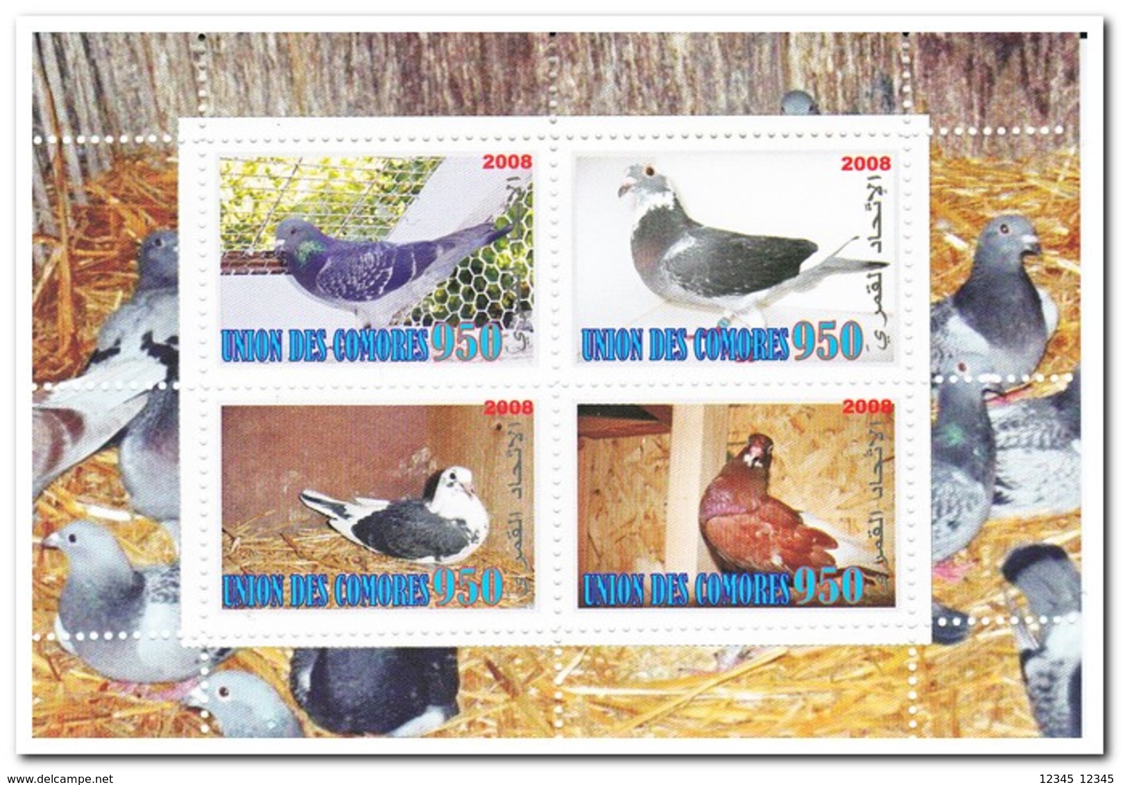 Comoren 2008, Postfris MNH, Birds - Comoren (1975-...)