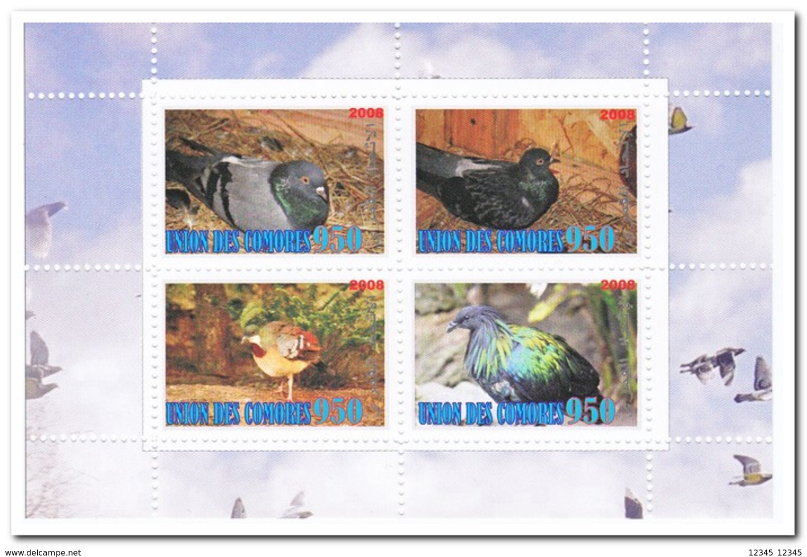 Comoren 2008, Postfris MNH, Birds - Comoren (1975-...)