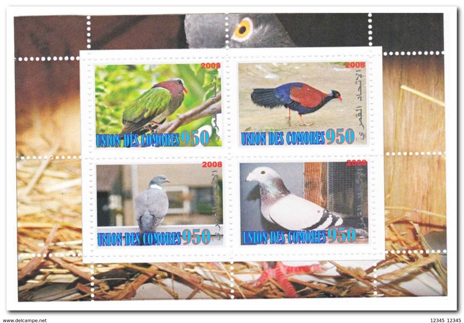 Comoren 2008, Postfris MNH, Birds - Comoren (1975-...)