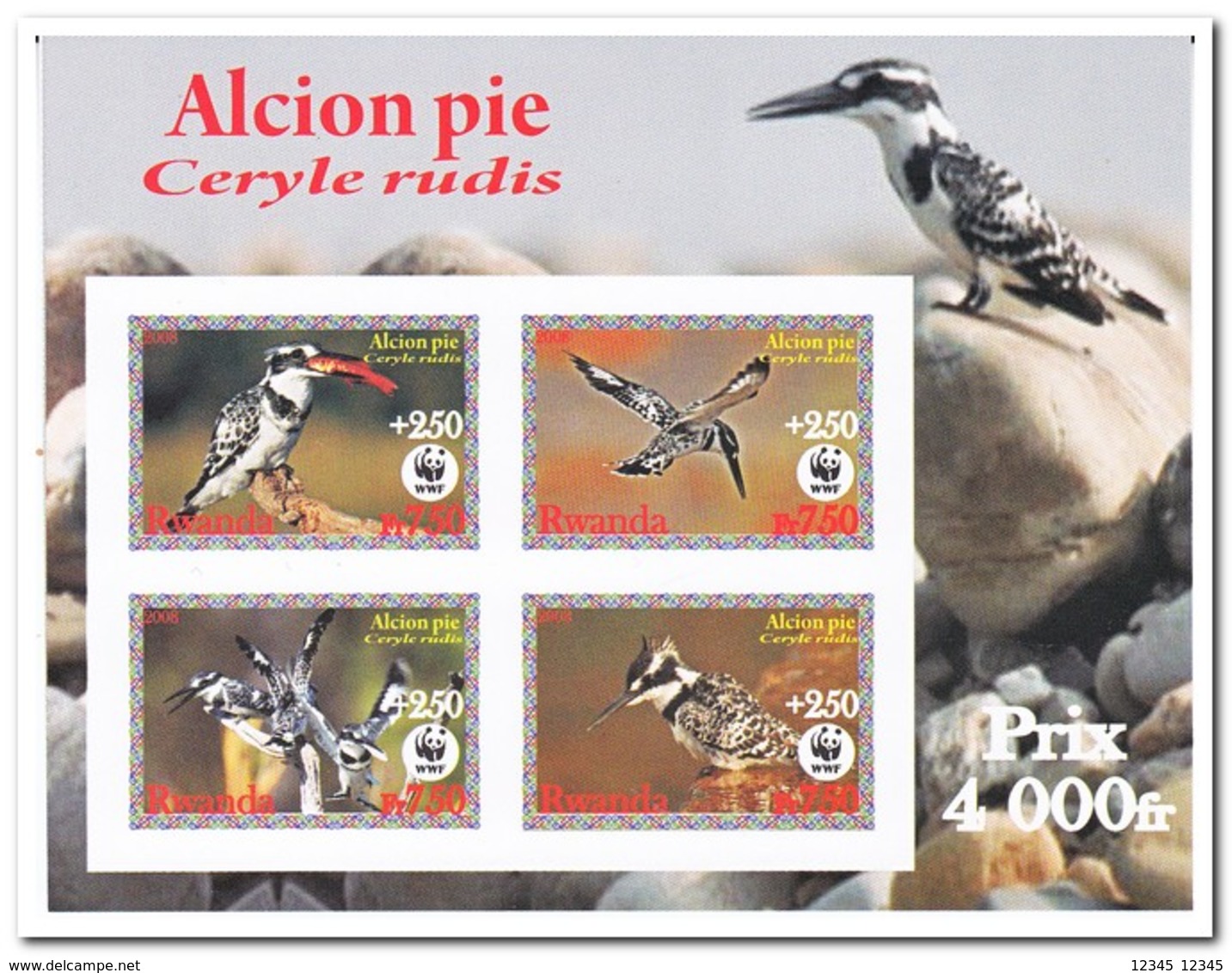 Rwanda 2008, Postfris MNH, Birds, WWF - Neufs