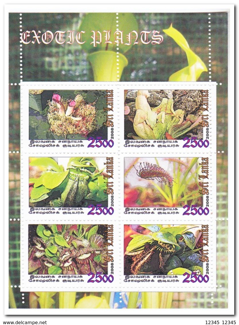 Sri Lanka 2008, Postfris MNH, Exotic Plants - Sri Lanka (Ceylon) (1948-...)