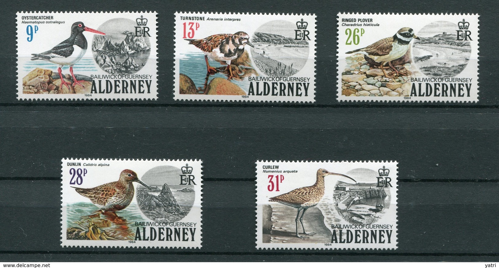 Alderney (1984) - Annata Completa ** - Alderney