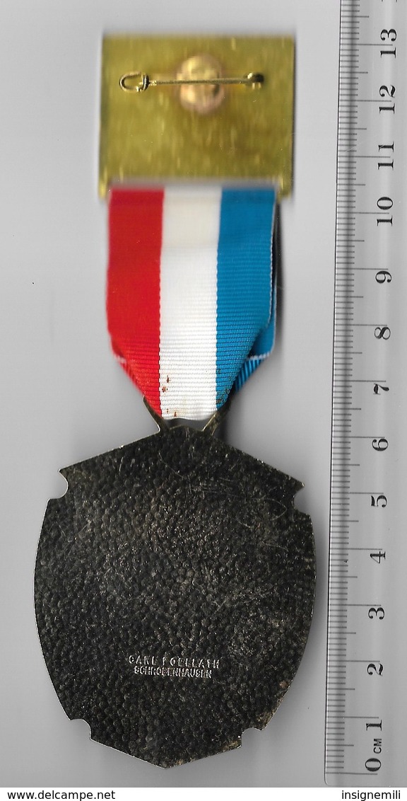 MEDAILLE Marche Populaire Organisée Par Le 110° RI En Allemagne En 1979 - DONAUESCHINGEN - Graveur CARL POELLATH - France