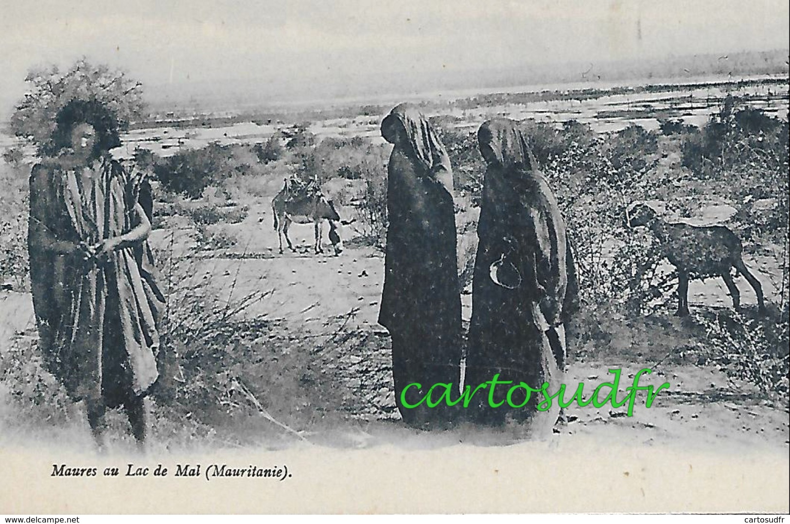 MAURITANIE - MAURES AU LAC DE MAL SUPERBE - Mauritanie