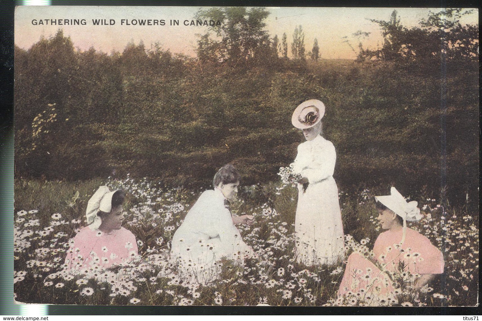 CPA Canada - Gathering Wild Flowers In Canada - Circulée 1909 - Autres & Non Classés