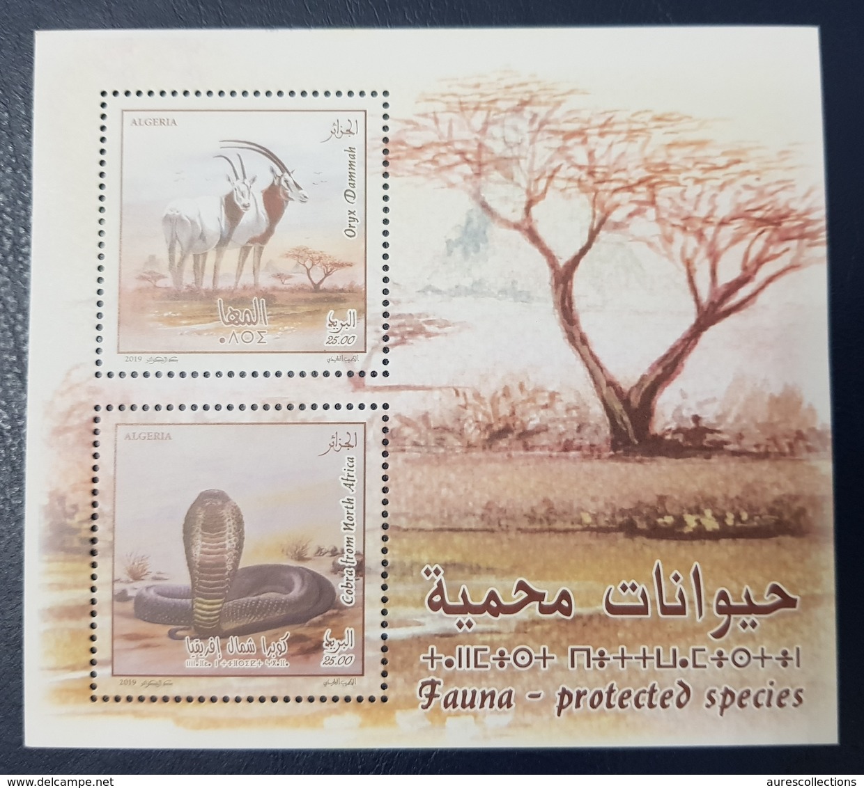 ALGERIA ALGERIE 2019 FAUNA PROTECTED SPECIES SNAKES REPTILES SERPENTS COBRA ORYX DAMMAH GAZELLE FAUNE BLOC SHEET MNH - Serpents