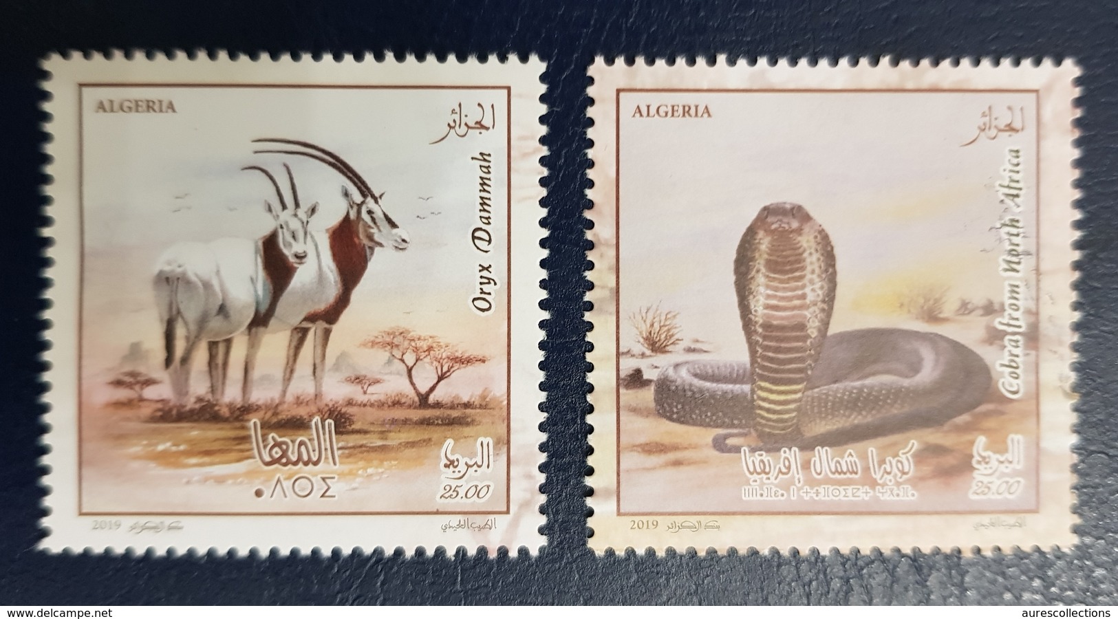 ALGERIA ALGERIE 2019 FAUNA PROTECTED SPECIES SNAKES REPTILES SERPENTS COBRA ORYX DAMMAH GAZELLE FAUNE SET OF 2 VAL MNH - Serpientes