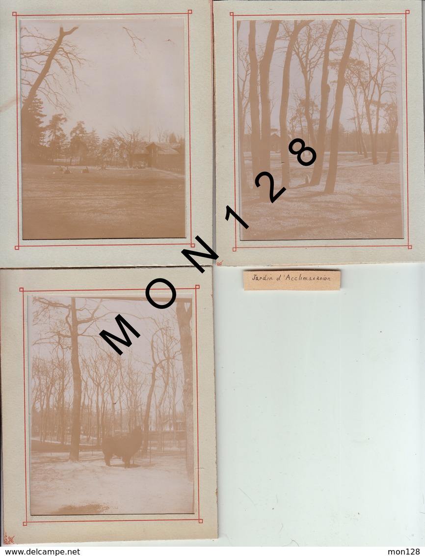 PARIS - JARDIN D'ACCLIMATATION -7  PHOTOS DE 1899 NON COLLEES - 9x12 Cms - Anciennes (Av. 1900)