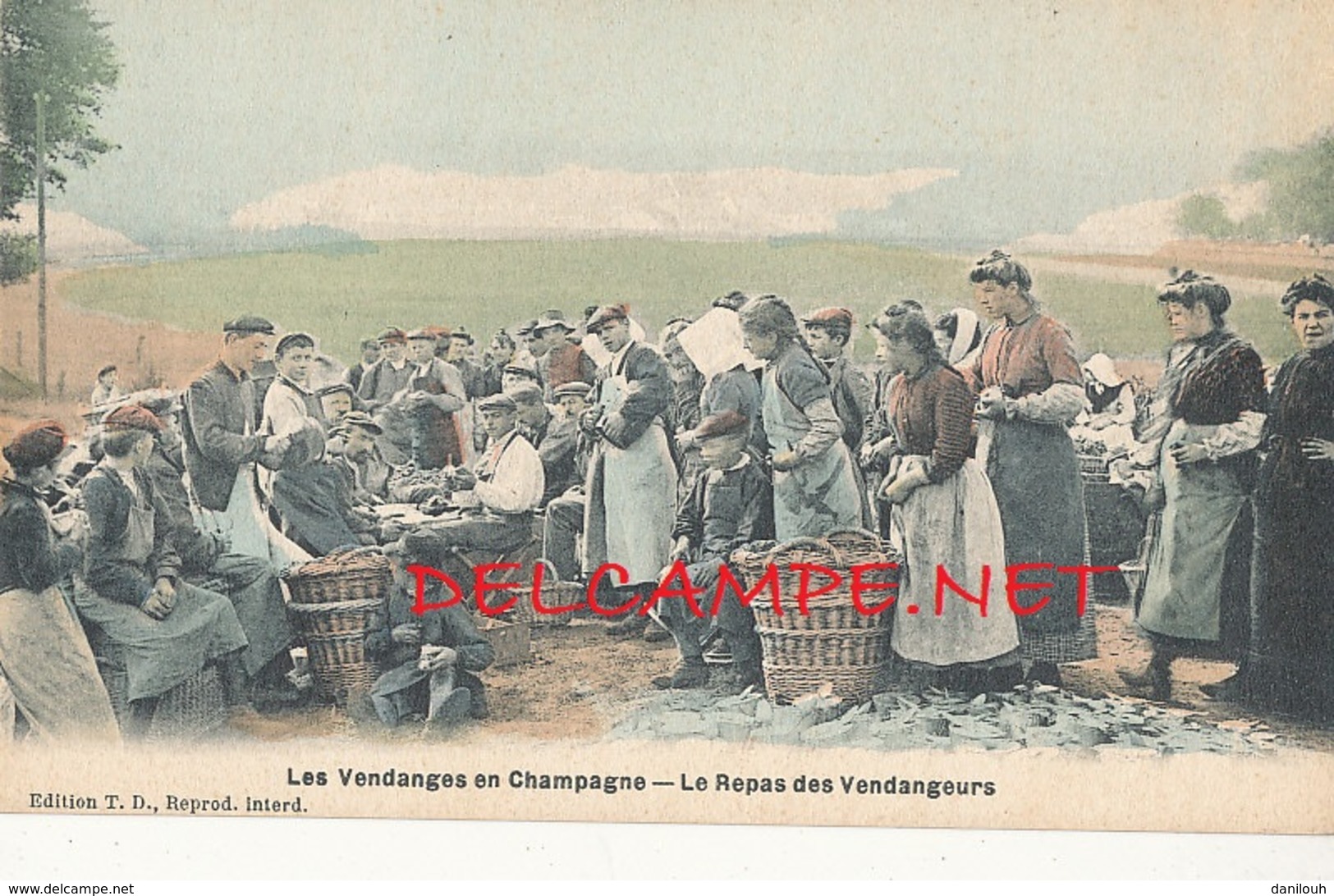 51 // MANUTENTION DU VIN DE CHAMPAGNE , Le Repas  Des  Vendangeurs  Edit T.D. / Colorisée - Autres & Non Classés