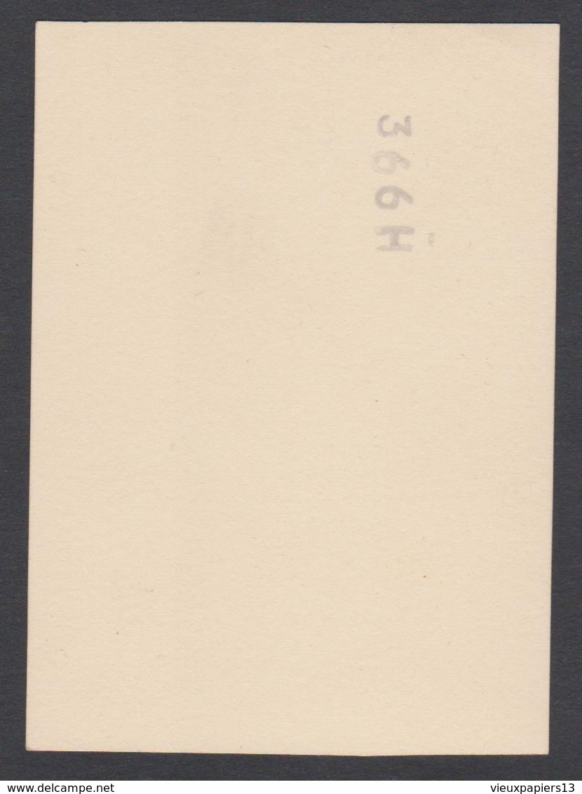 Joli Snapshot C.1935 Photo D'un Chien à Coté D'un Chien En Peluche -  9x6 Cm - Autres & Non Classés