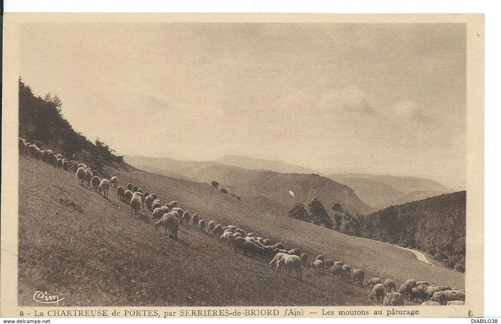 ***        SERRIERES DE BRIORD    ( AIN )LA CHARTREUSE DE PORTES .LES MOUTONS AU PATURAGE - Non Classés