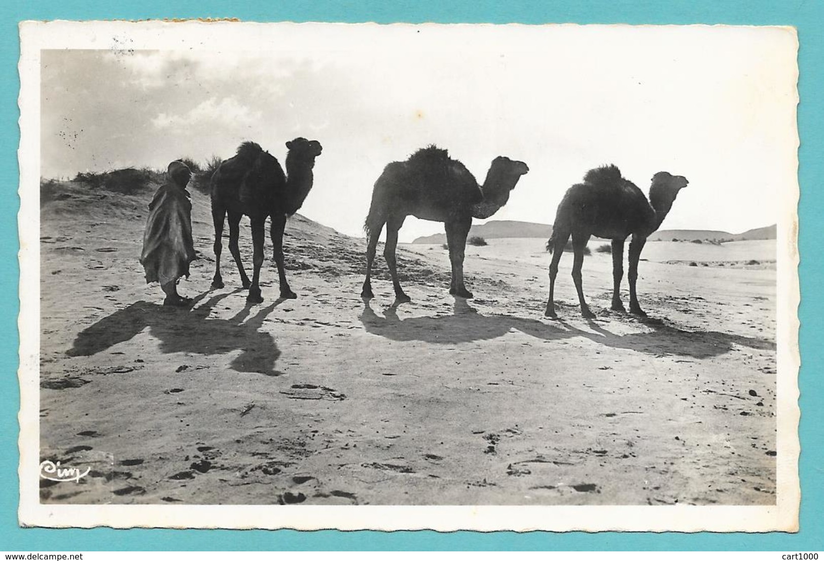 TUNISIE DANS LE GRAND DESERT 1957 - Tunisia