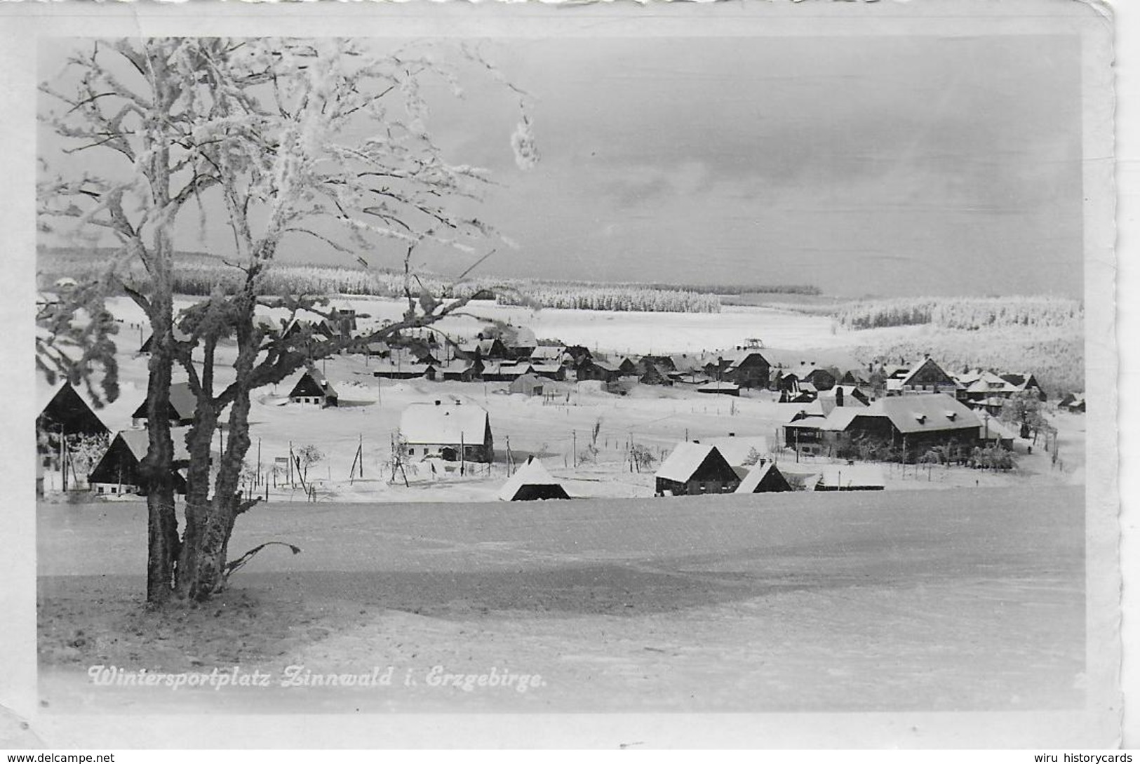 AK 0234  Zinnwald Im Erzgebirge - Winterzauber Um 1930-40 - Altenberg