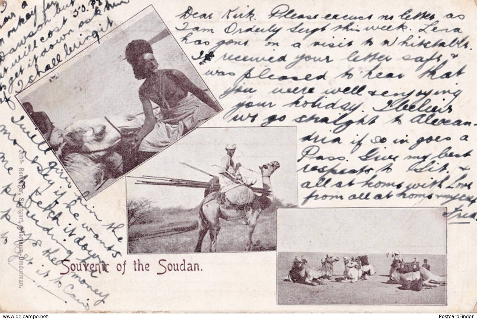 Sudan 1903 Camel Antique Postcard - Sudan