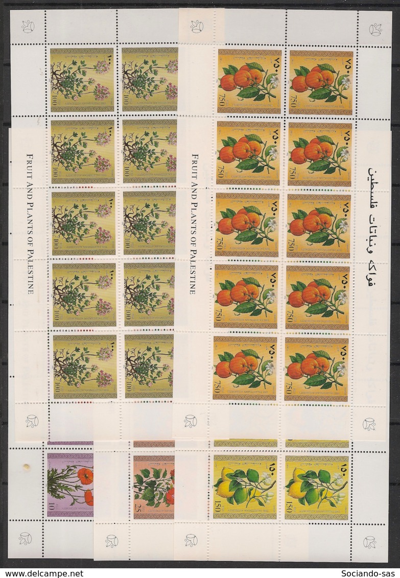 Palestine - 1996 - N°Yv. 53 à 57 - Fleurs - Feuillets De 10 / Mini Sheets - Neuf Luxe ** / MNH / Postfrisch - Palestina