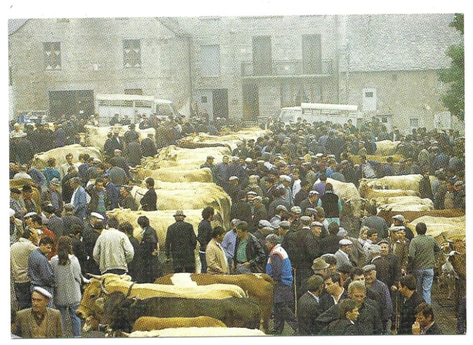 Nasbinals Un Jour De Foire - Autres & Non Classés