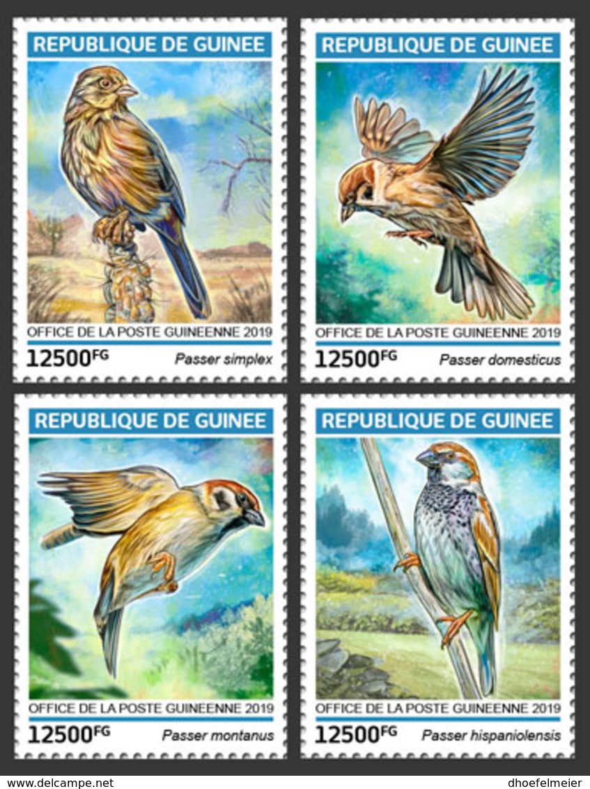 GUINEA REP. 2019 MNH Sparrows Spatzen Moineaux 4v - OFFICIAL ISSUE - DH1918 - Moineaux
