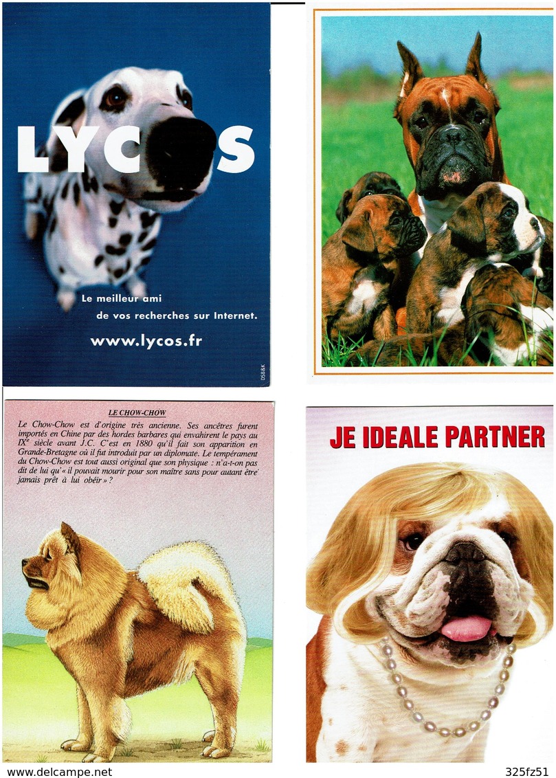 CHIENS /  Lot De 90 Cartes Postales Modernes Neuves - 5 - 99 Cartoline