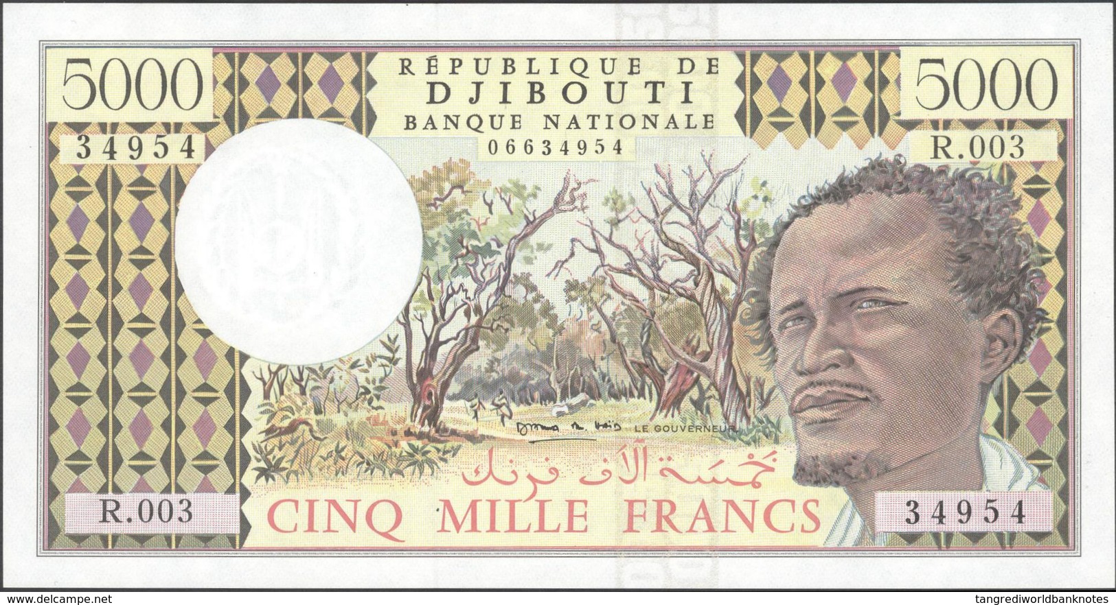 TWN - DJIBOUTI 38d - 5000 5.000 Francs 2002 Series R.003 UNC - Djibouti