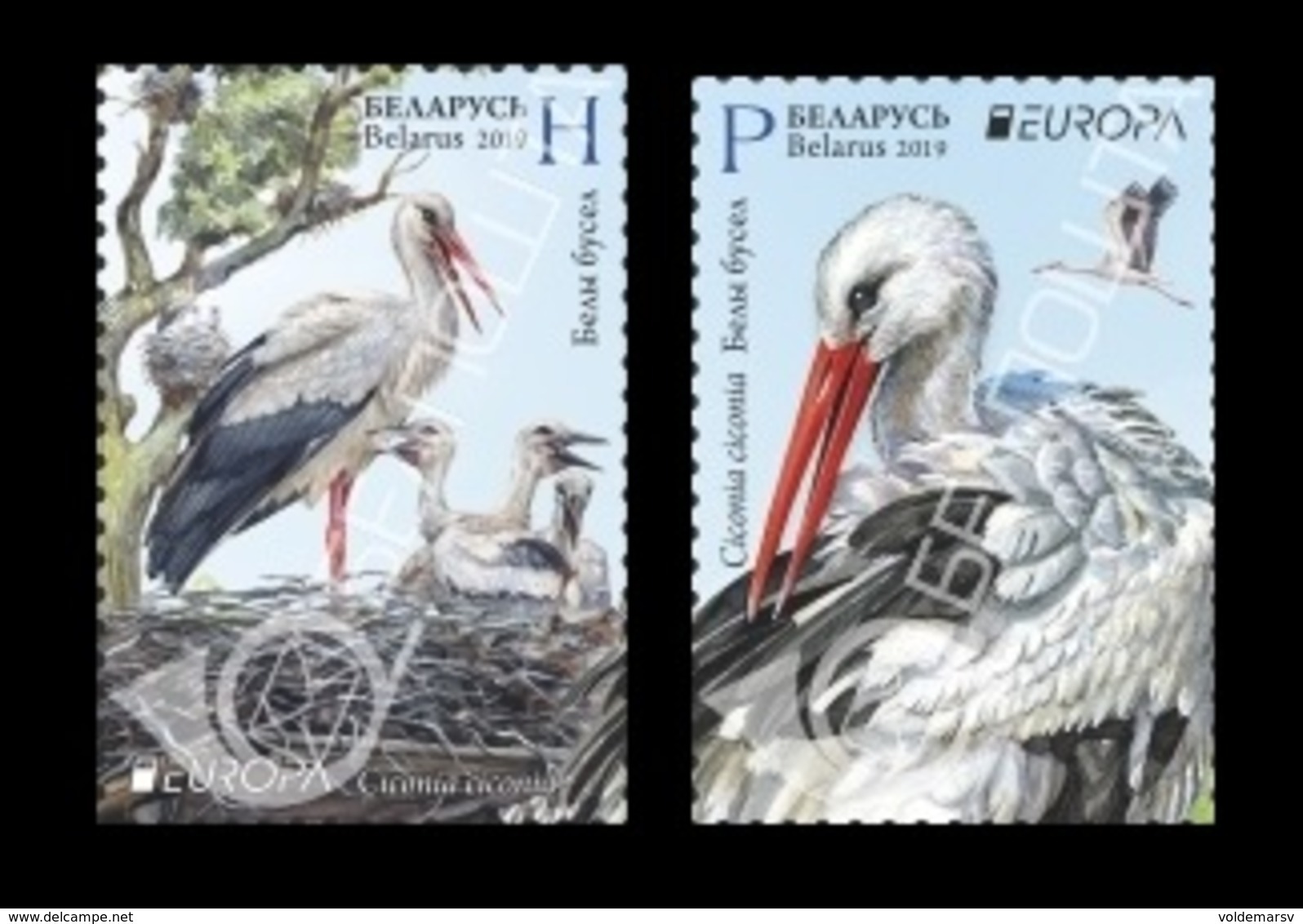 Belarus 2019 Mih. 1300/01 Europa. National Birds. Fauna. Storks MNH ** - Belarus