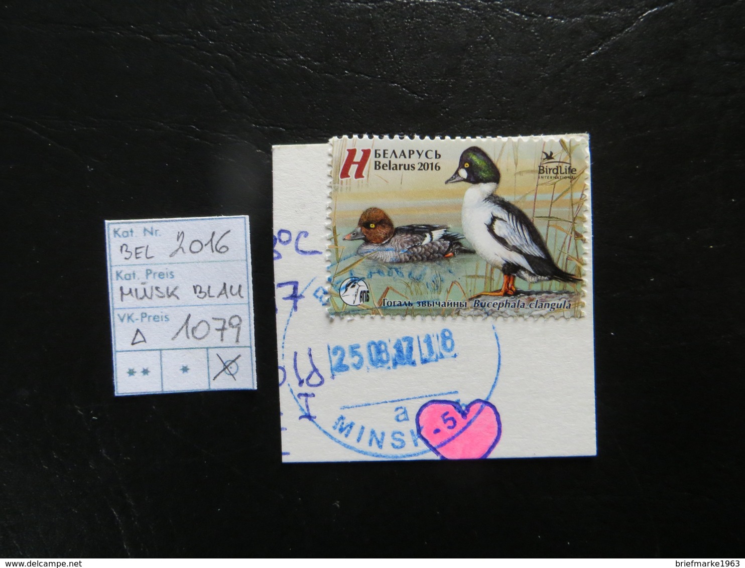 2016   " Bird Life " Auf Ausschnitt,  Blauer Stempel MINSK     LOT 1079 - Wit-Rusland