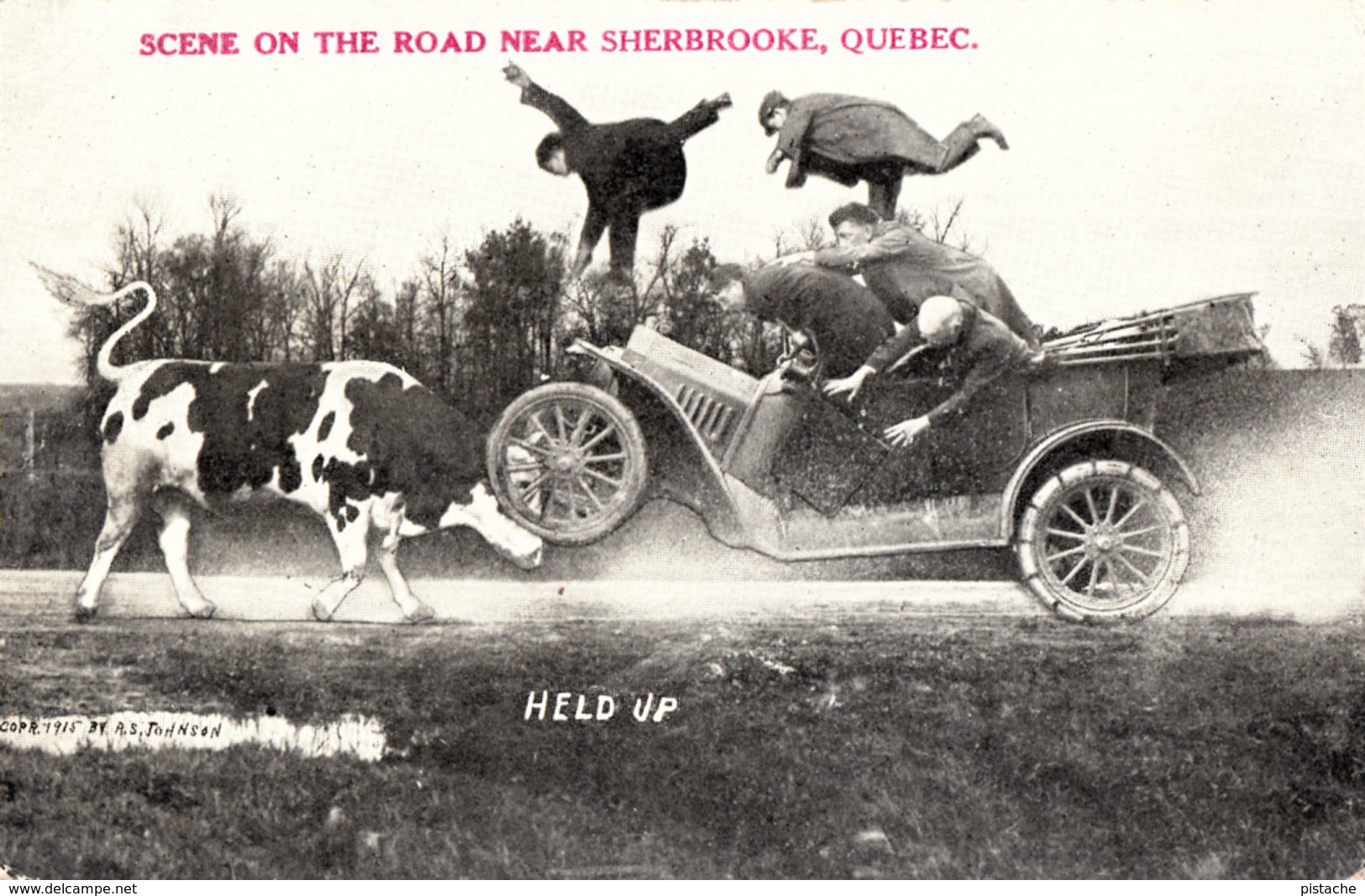 Held Up - Scene On The Road Near Sherbrooke Québec - Humor Humour Cow Car Vache Voiture - 2 Scans - Sherbrooke