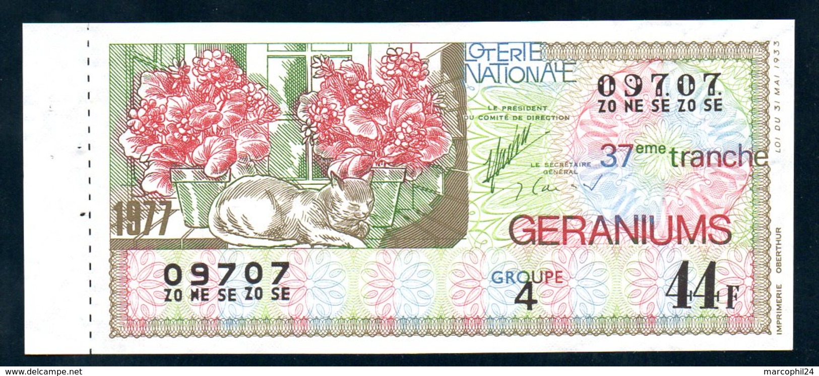 LOTERIE NATIONALE 1977 - TRANCHE N° 37 = GERANIUMS ( FLEUR ) / BILLET ENTIER SUPERBE Complet De Sa Souche VOIR  2 SCAN - Billets De Loterie