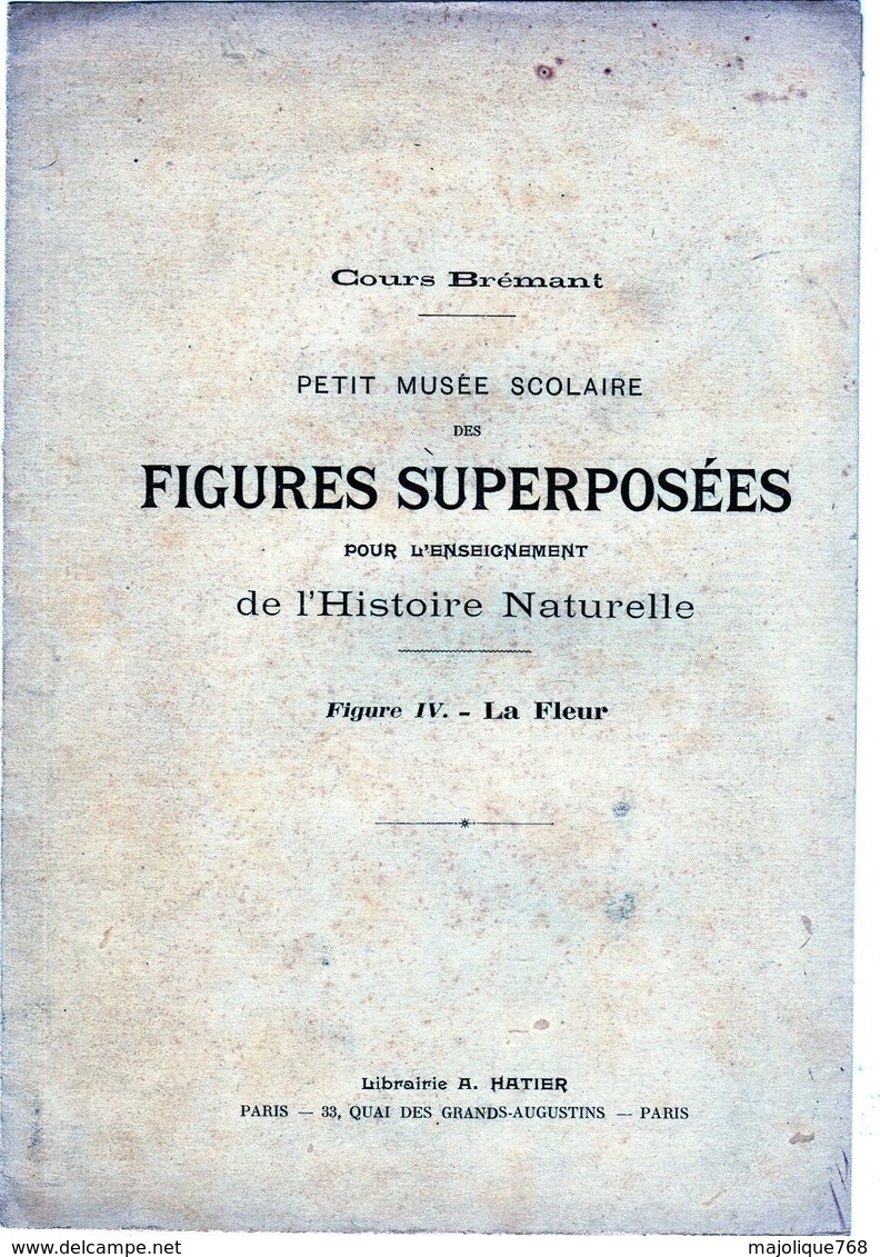 Cours A. Brémant Petit Musée Scolaire Des Figures Superposées Figure IV-la Fleur - Fiches Didactiques