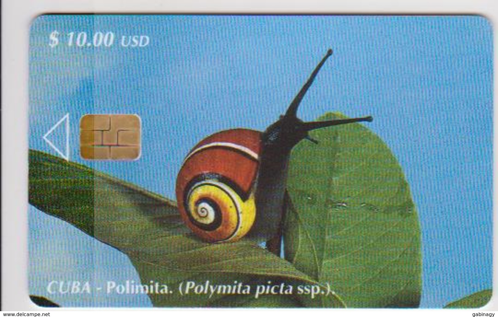 #09 - CUBA-03 - SNAIL - Cuba