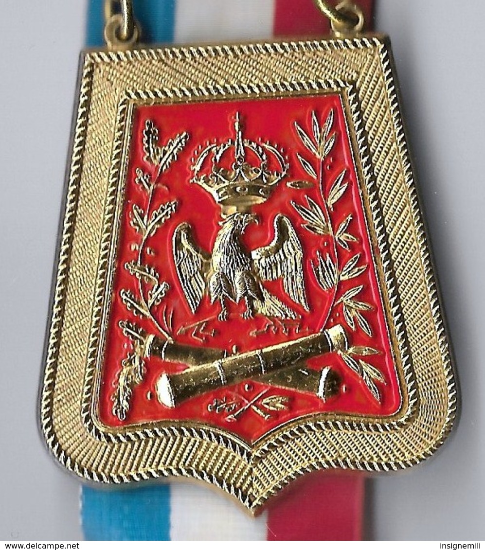 MEDAILLE Marche Populaire Organisée Par Le  REGIMENT D' ARTILLERIE - REUTLINGEN 1973 - France