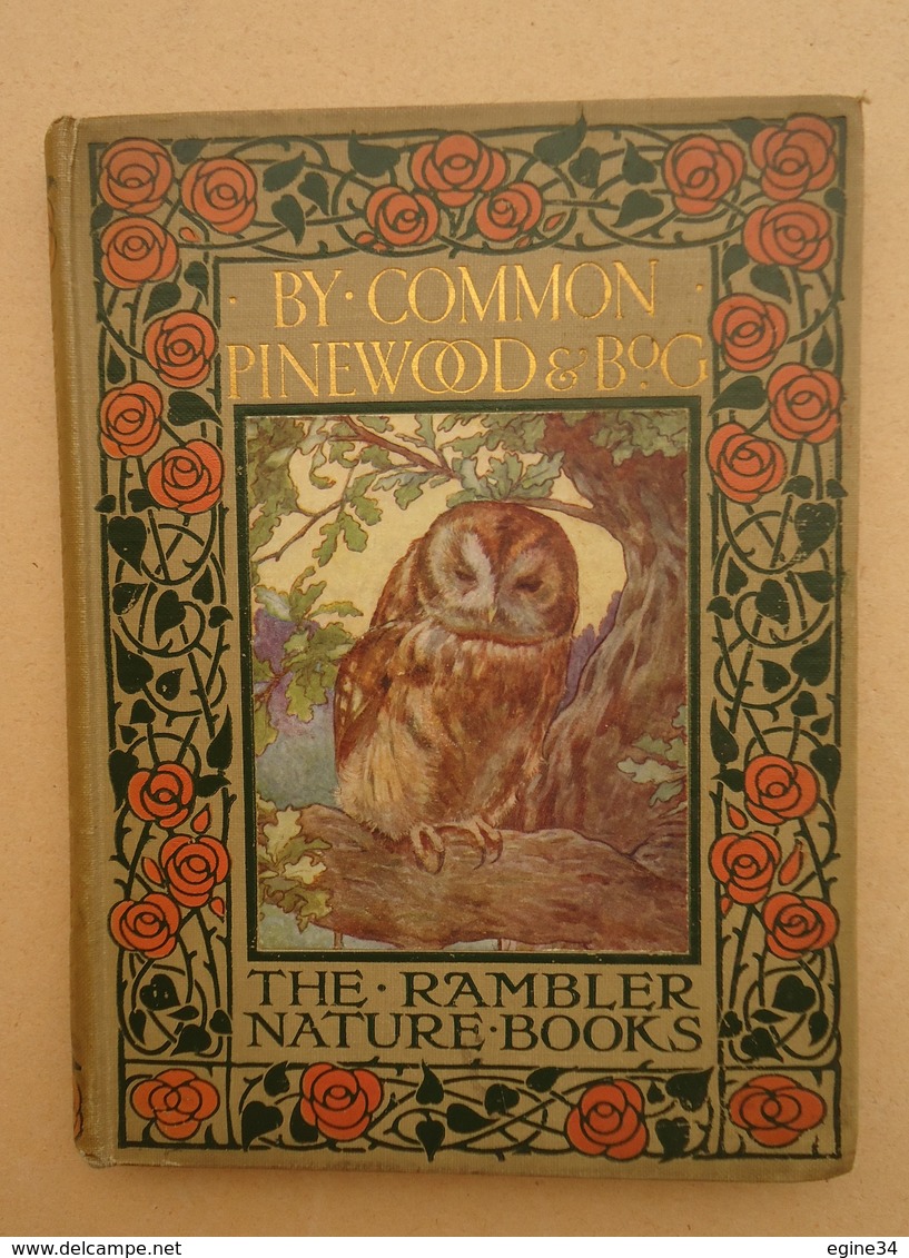 Margaret Cameron - The Rambler Nature Books - By Common Pinewood And Bog - 8 Coloured Pictures - Guide Du Randonneur