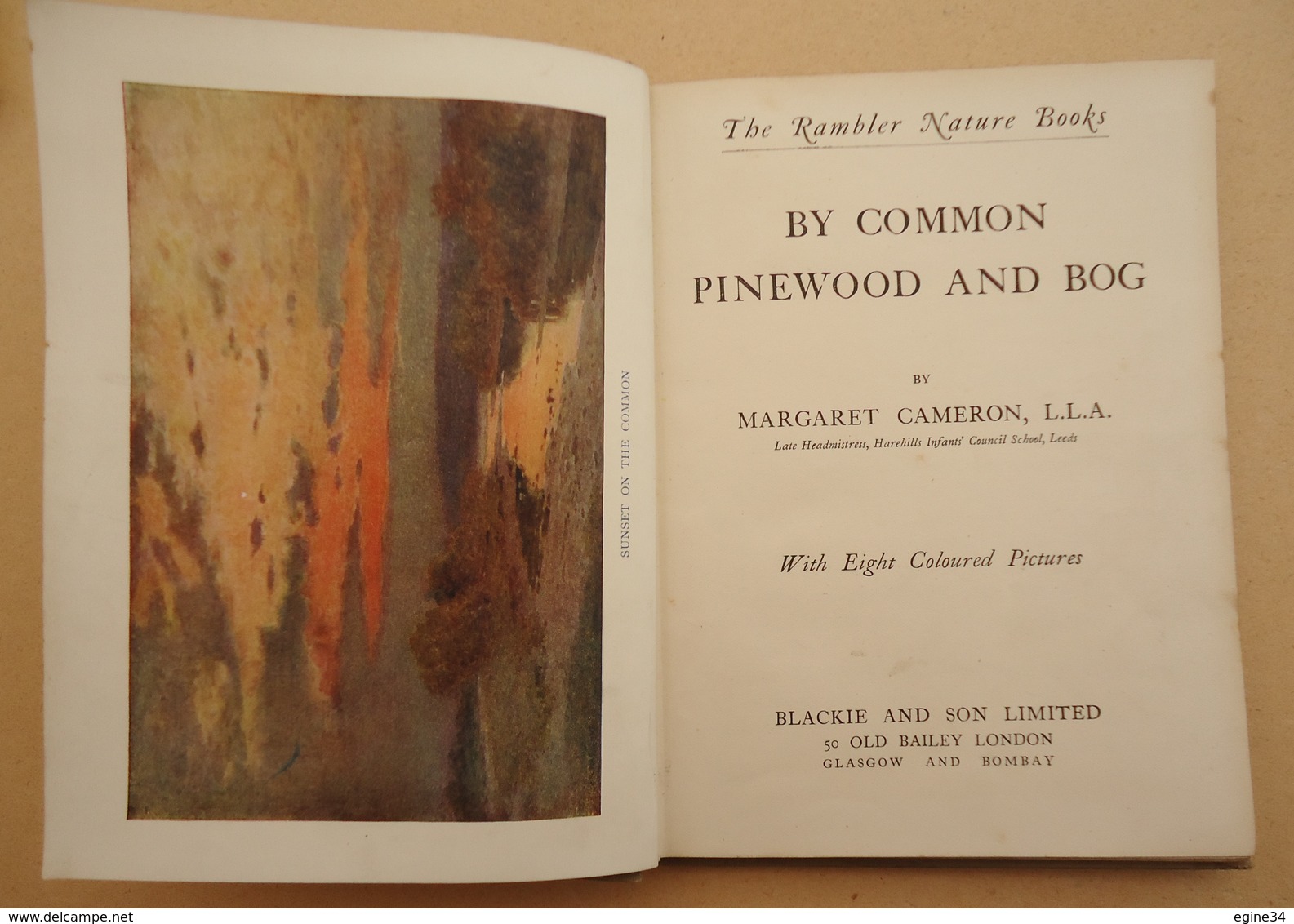 Margaret Cameron - The Rambler Nature Books - By Common Pinewood And Bog - 8 Coloured Pictures - Guide Du Randonneur