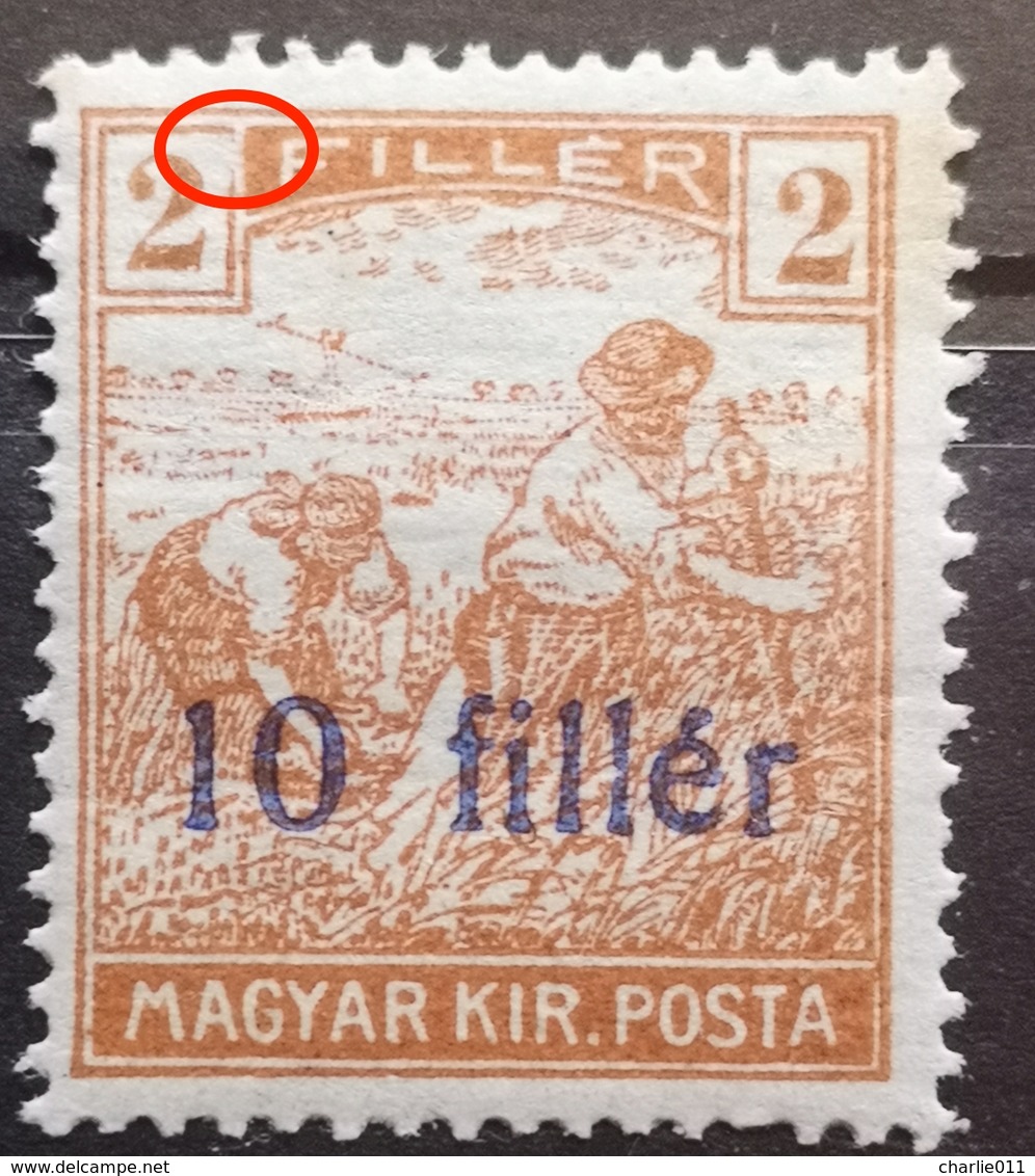 HARVESTERS-2 FILL-OVERPRINT 10 FILLER - ERROR - HUNGARY - 1919 - Local Post Stamps