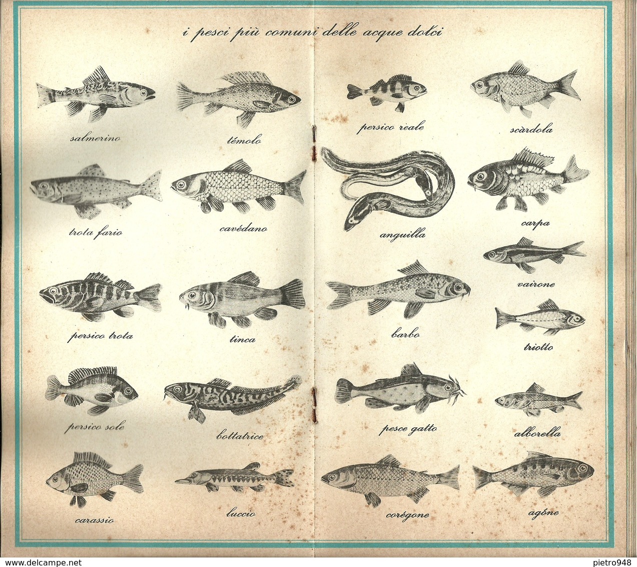 Libro Su Pesca Acque Interne "Il Pescaguida, Vademecum Del Pescatore" Testi Dr. Giulio Conti, Prefazione V.G. Rossi - Hunting & Fishing