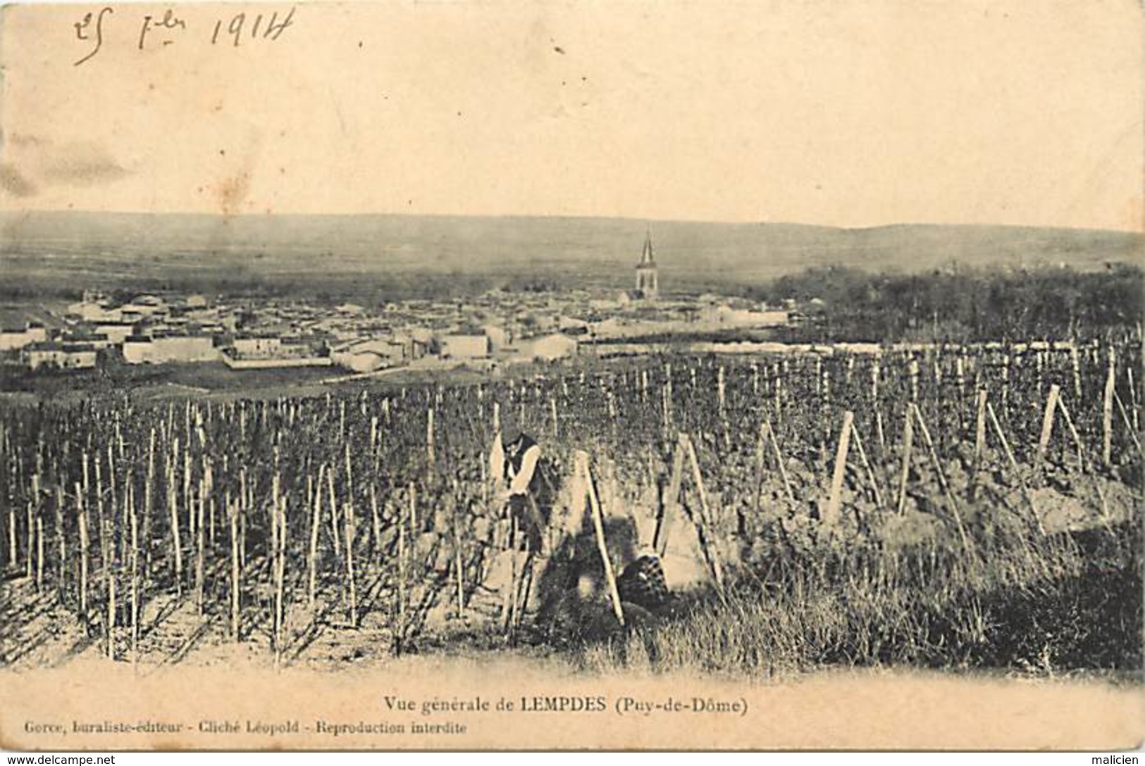 -dpts Div -ref-AJ824- Puy De Dôme - Lempdes - Vue Generale -  Vignes - Viticulteur - Viticulture - Metiers - - Lempdes