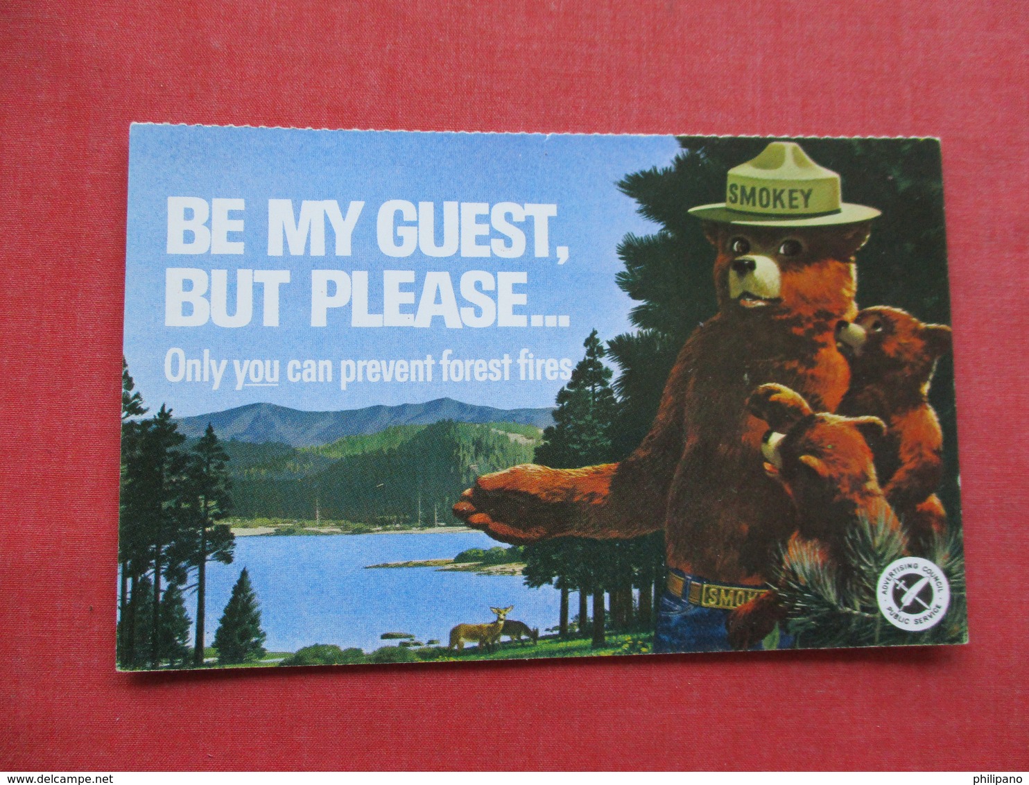 Smokey The Bear-- Only You Can Prevent Forest Fire          Ref 3346 - Advertising