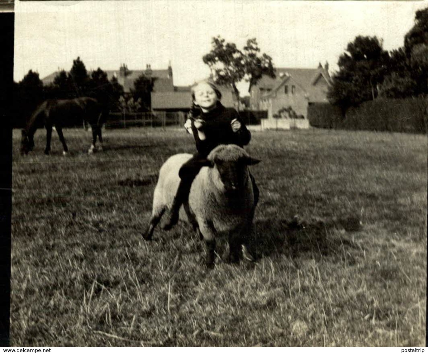 AMINAU ANIMALS ANIMALES   9*8 CM Fonds Victor FORBIN 1864-1947 - Lugares