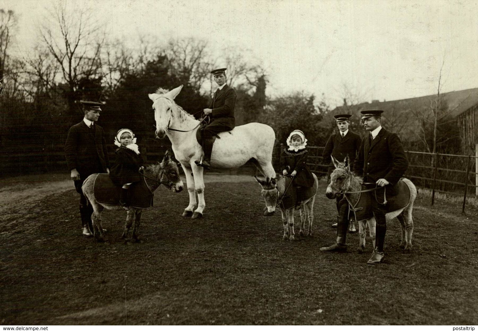 MR WINGFIELD 'S FARM AMPTHILL LAMAS , ZEBRAS, OSTRICHES AN ANDALUCIEN DONKEY  15 * 11 CM Fonds Victor FORBIN 1864-1947 - Personas Identificadas