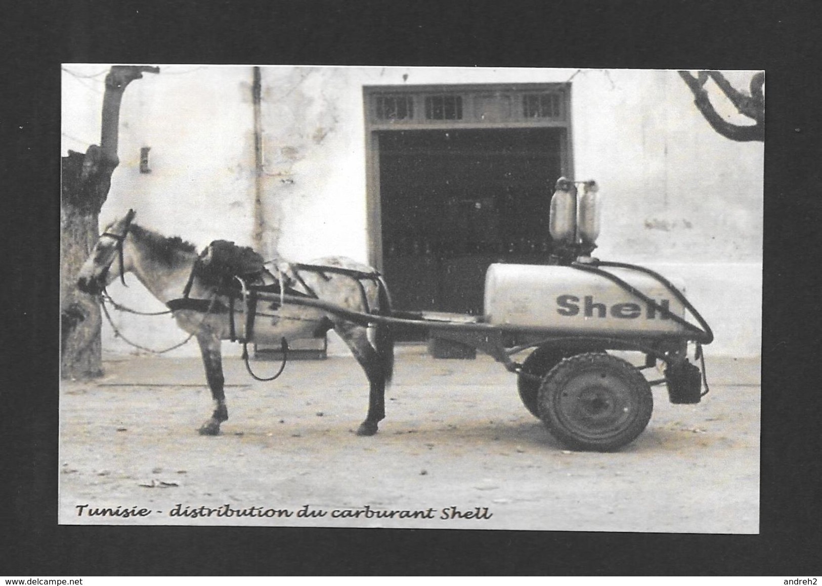 TUNISIE - AFRIQUE - DISTRIBUTION DU CARBURANT SHELL AVEC UN ATTELAGE ET UNE ÂNE - Tunisie