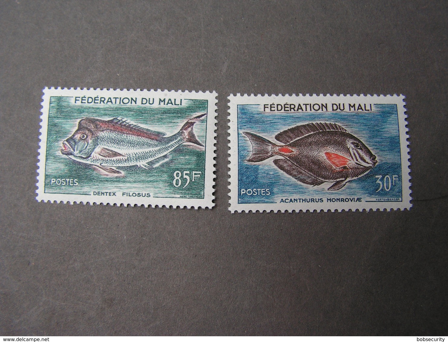 Mali Fauna Fische  311- 312   ** MNH  € 7,00 - Mali (1959-...)