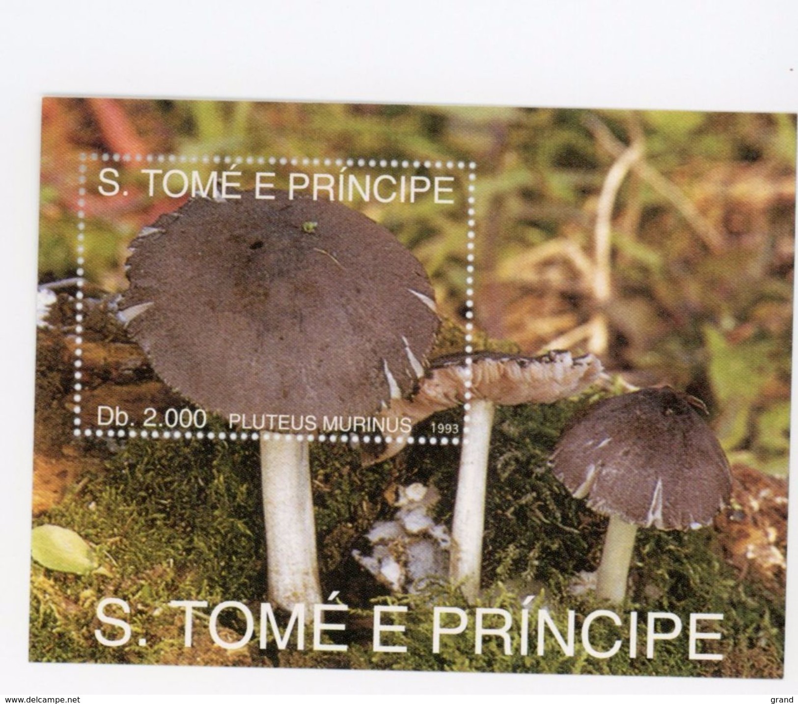 Sao Tome-1993-Champignon-MI B296+297***MNH- - Sao Tome Et Principe