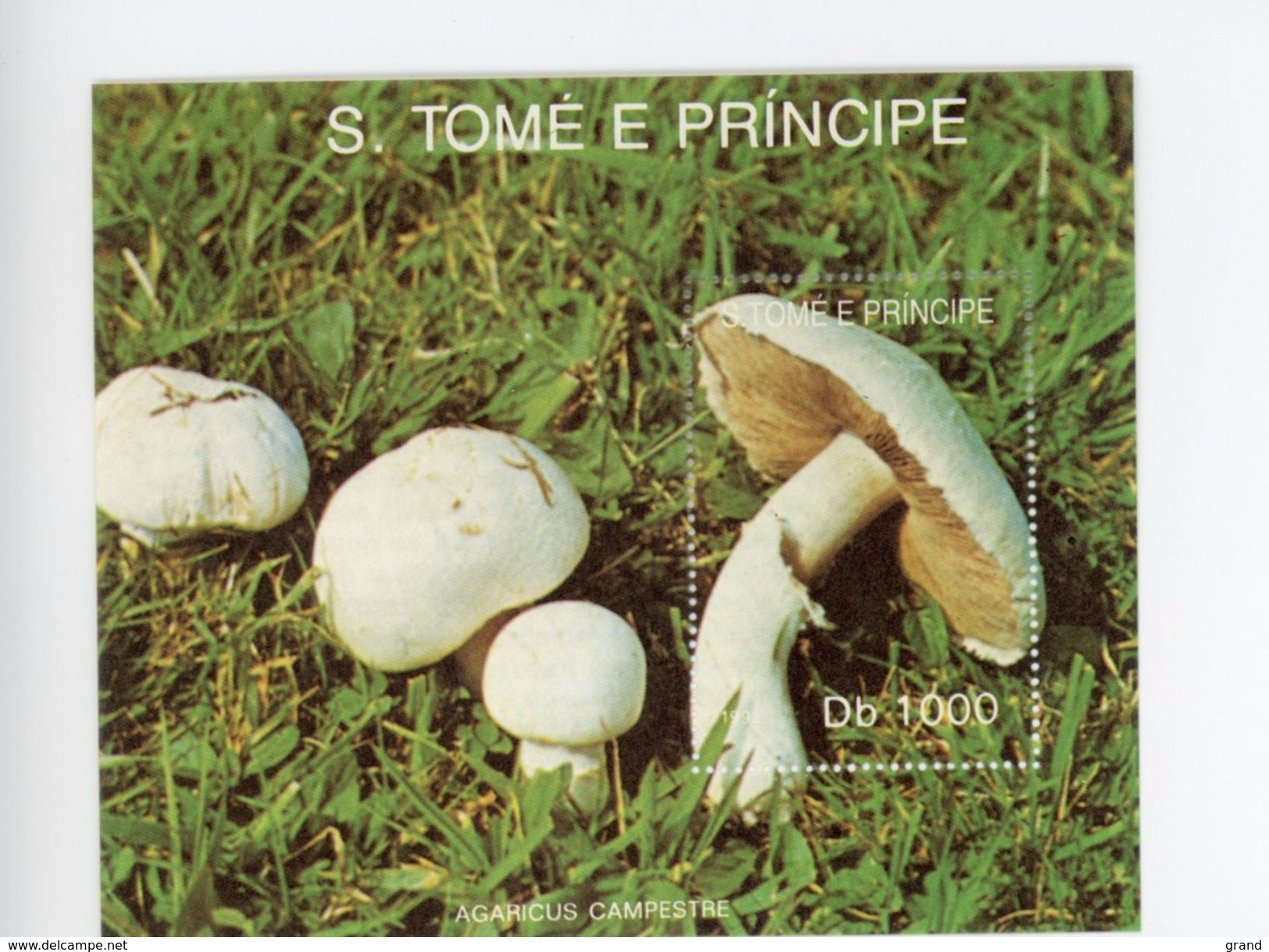 Sao Tome-1992-Champignons-MI B283/4***MNH- - Sao Tome Et Principe