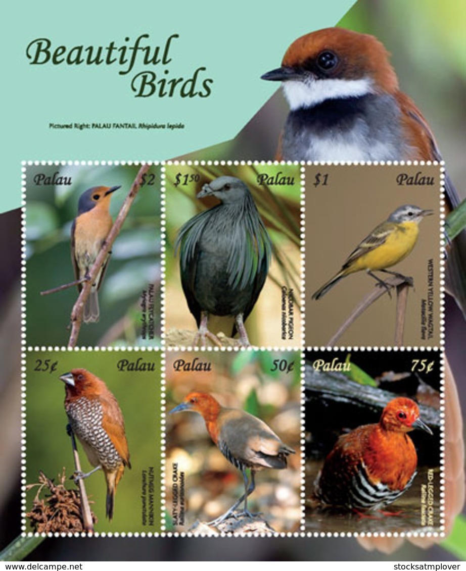 Palau 2018  Fauna Birds  I201901 - Palau