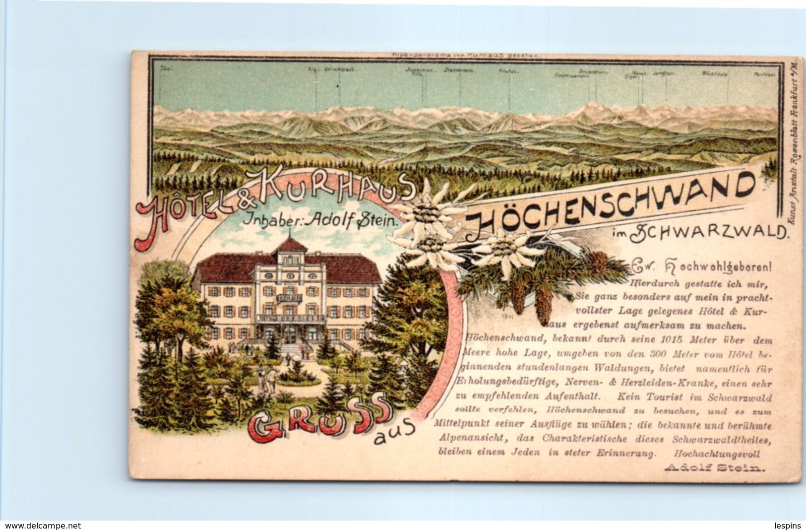 Allemagne - Höchenschwand  - Hôtel & Kurhaus - Hoechenschwand