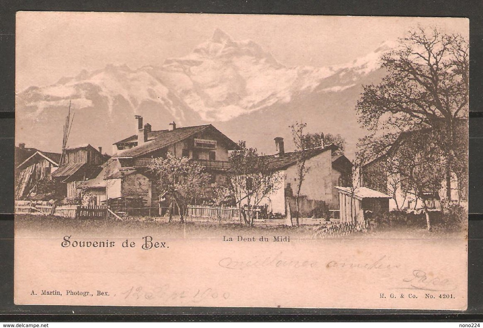 Carte P De 1900 ( Suisse / Bex  ) - Bex