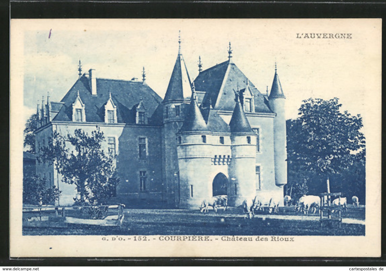 CPA Courpière, Vue Du Château Des Rioux, Troupeaux De Vaches Devant - Autres & Non Classés