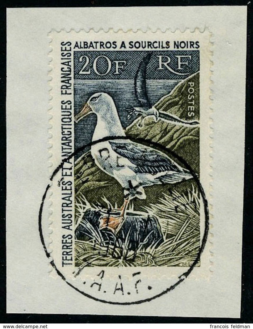 Fragment N° 24, 20f Albatros Obl Sur Frgt Terre Adelie 31.1.68 T.B. - Otros & Sin Clasificación