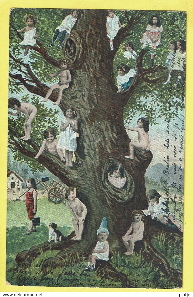 * Fantaisie - Fantasy (Bébé Multiples - Baby) * (serie 320) Arbre, Boom, Tree, Enfant, Child, Nid, Pot, Chien, Dog - Baby's